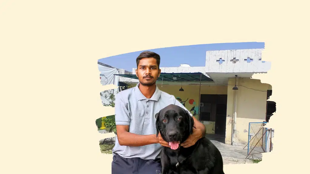 Just for Dogs