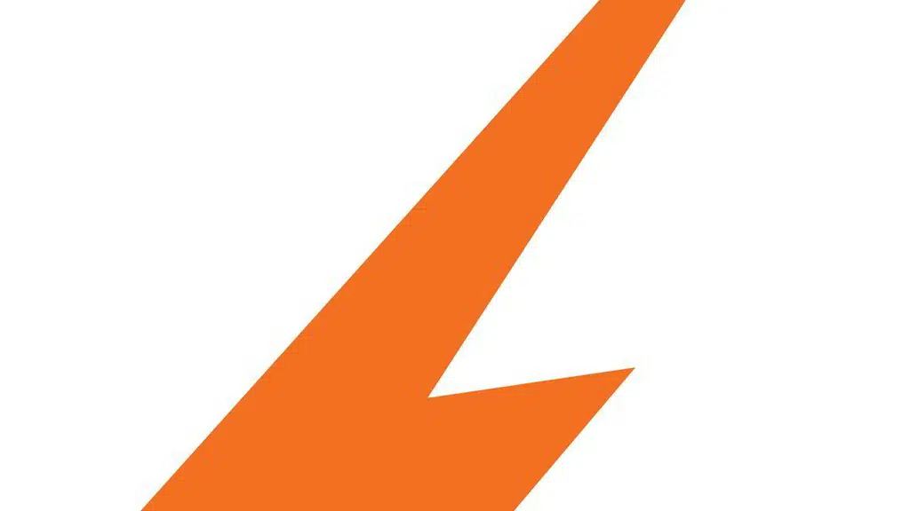 Spark Career Mentors