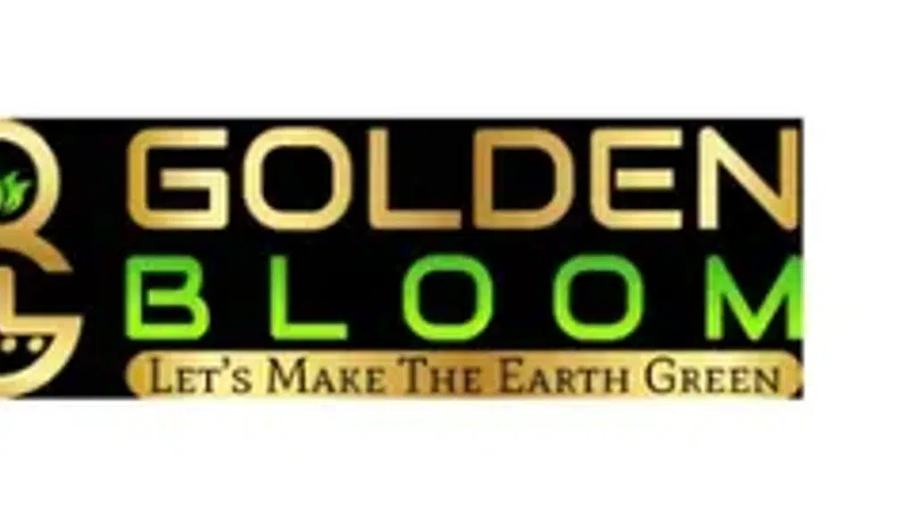 The Golden Fashion