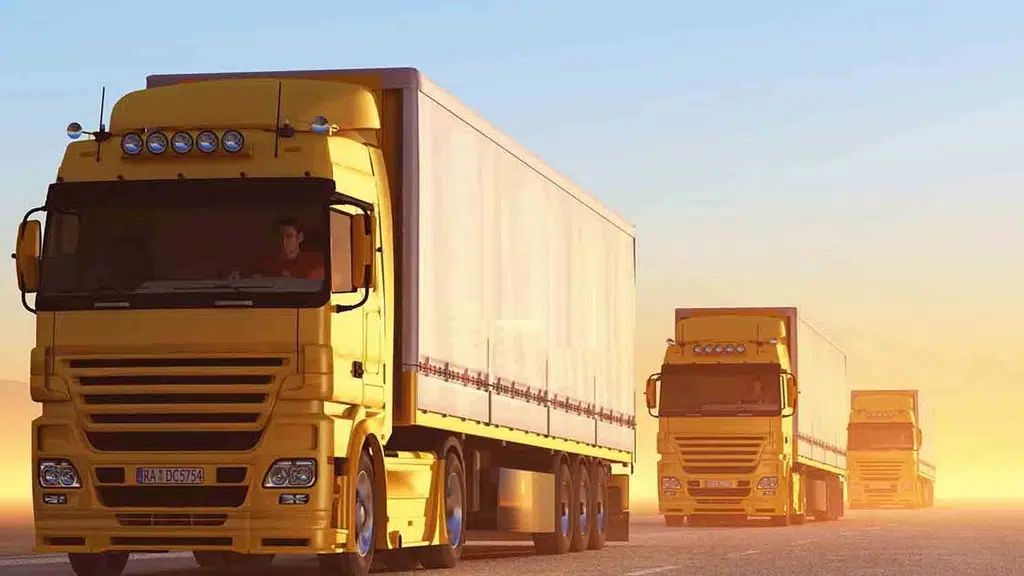 Regal India Cargo Movers