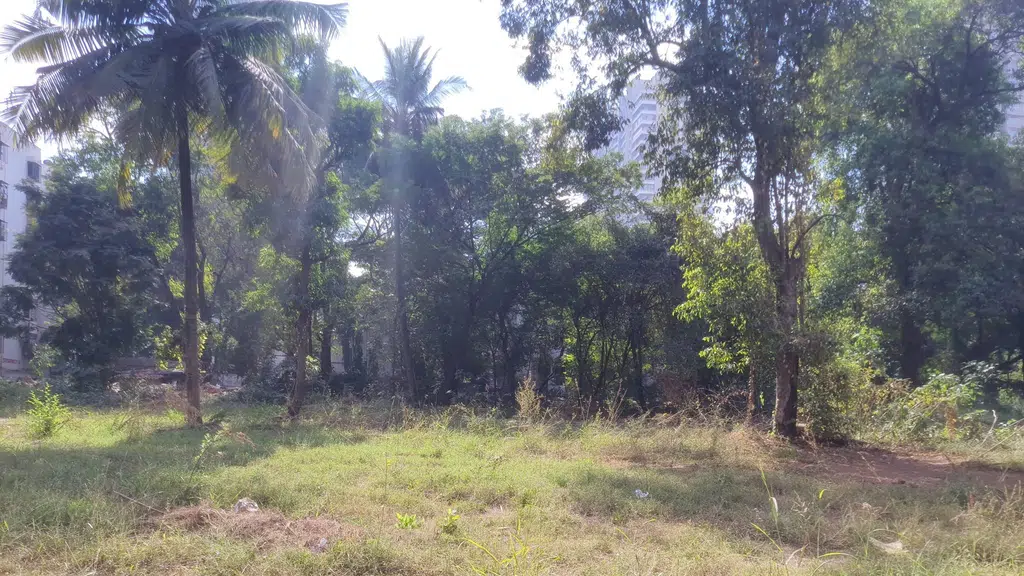 Shivoham Yoga & Holistic Center