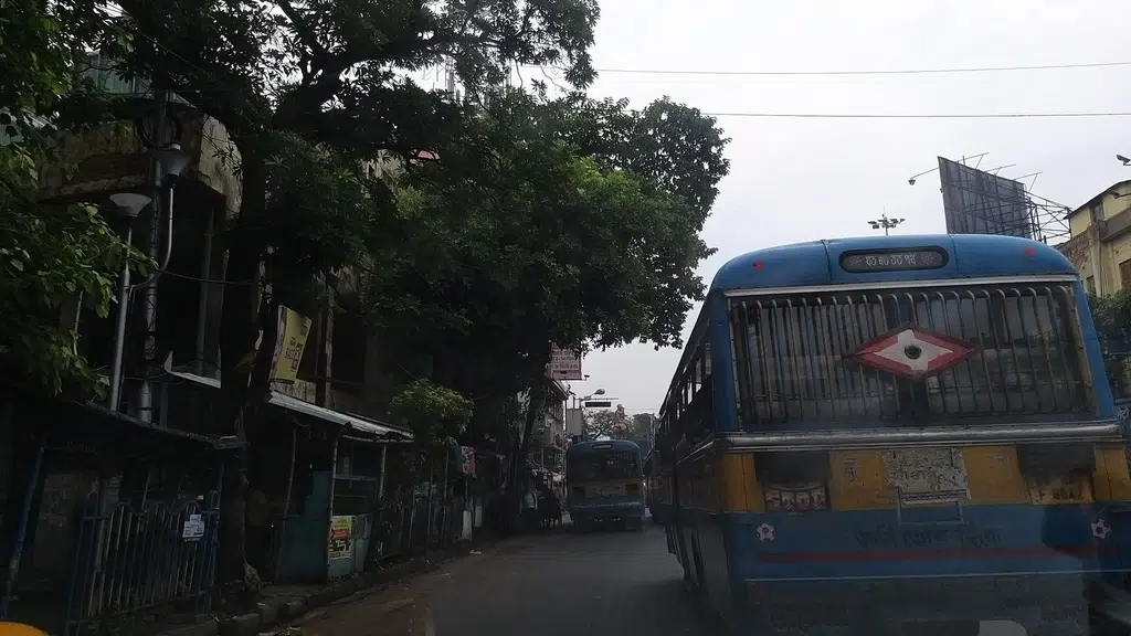 Banarsi Queen