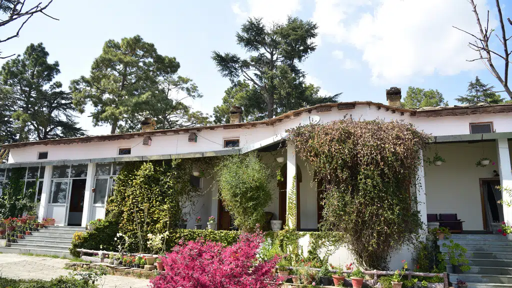 Deodar Homestay