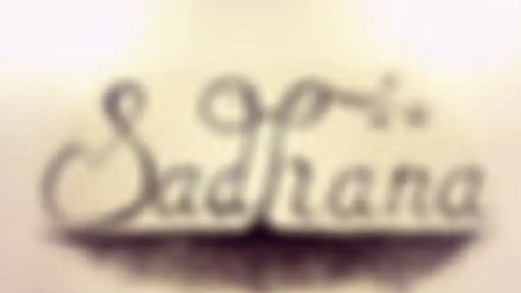 Sadhana Arts Academy