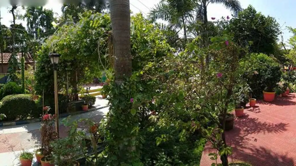 Arati Princess Nest