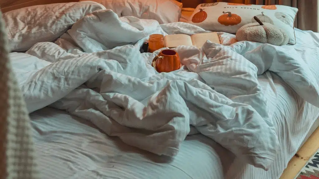Ameya Suites