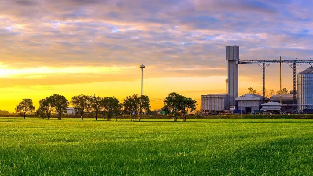Karnataka Rice Industries
