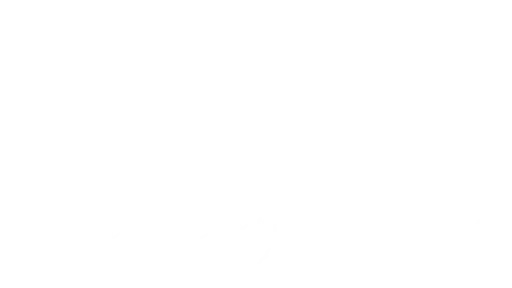 Max Speed India