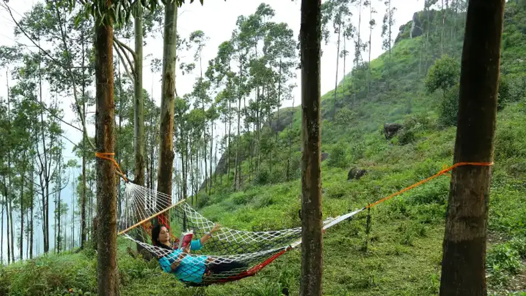 Nature Zone Resort