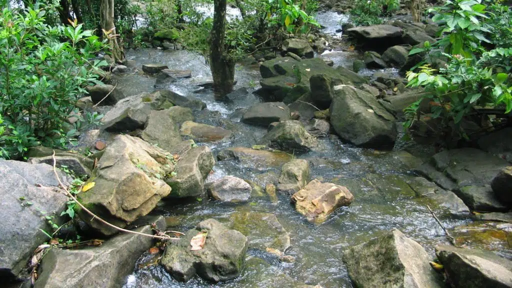 Ezhattumugham Prakriti Gramam