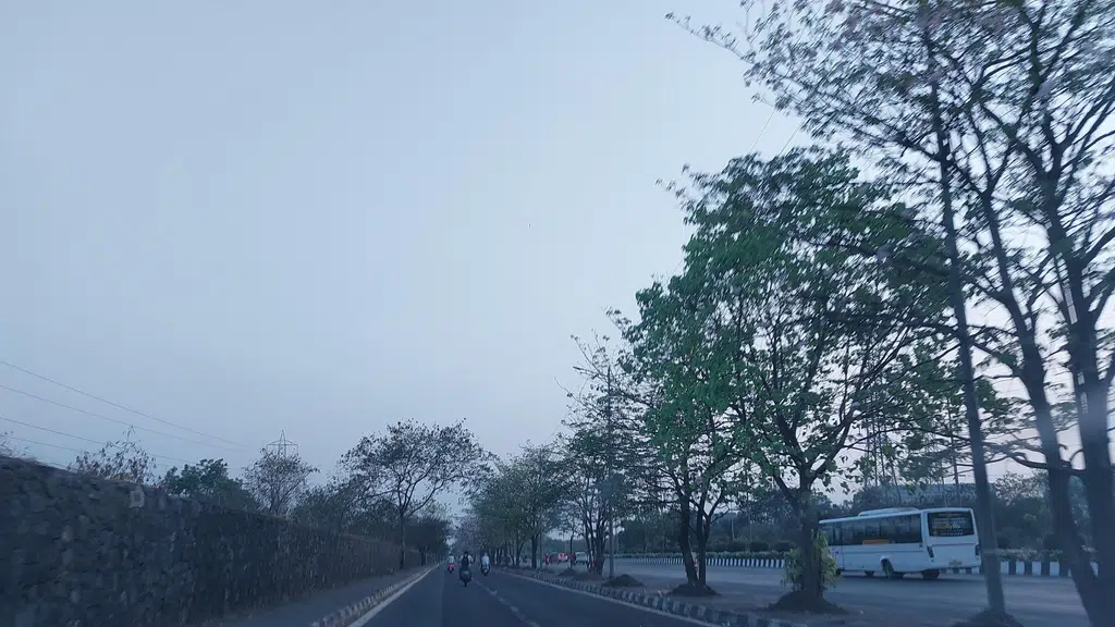 The Trees Vikhroli