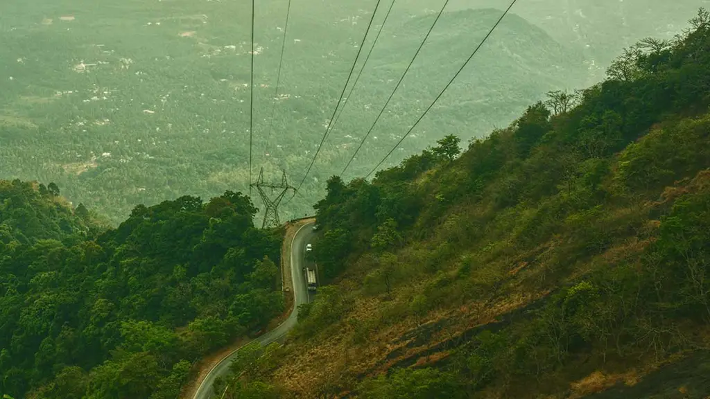 Misty wayanad