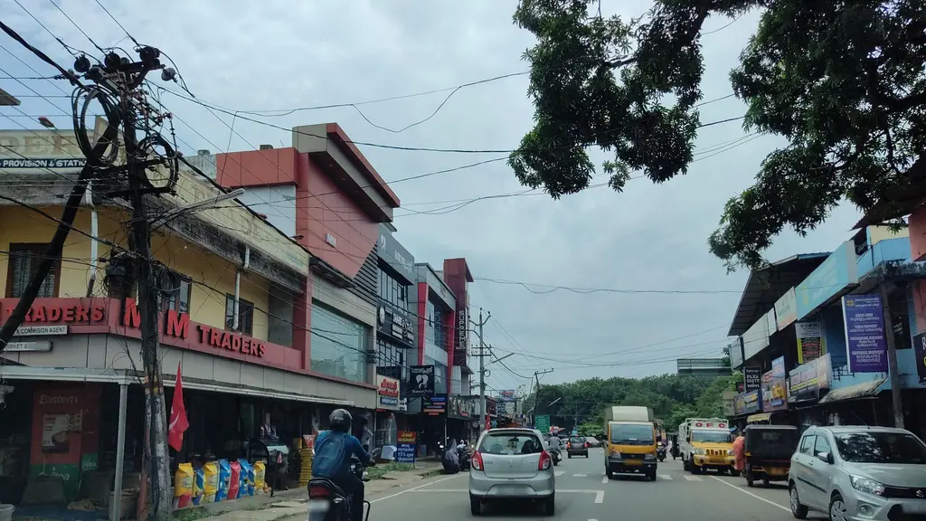 Kottakkal Arya Vaidyashala