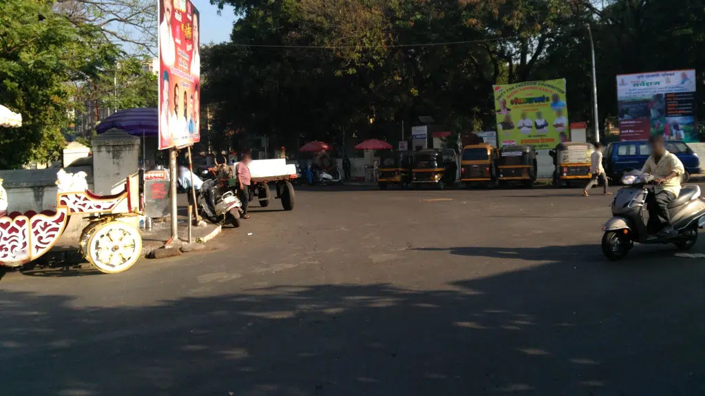 JJ Garden