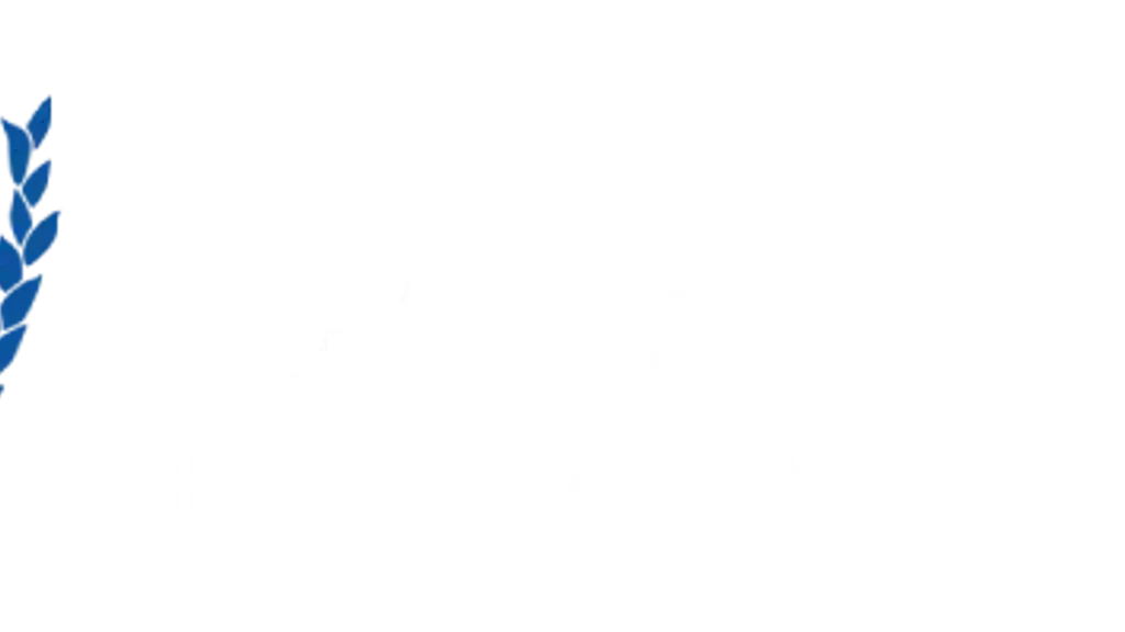Capital International School