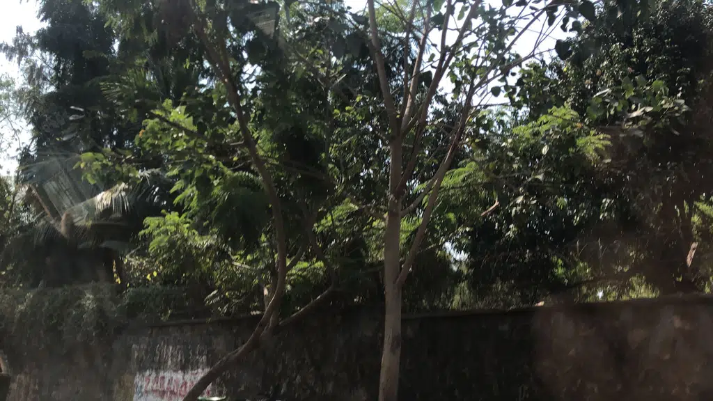 Mcps R K Puram