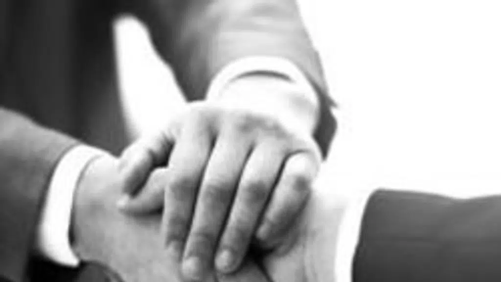 Trivoli Consultancy