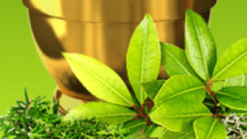 Renaissance Homoeopathic Clinic And Yoga Therapy Centre