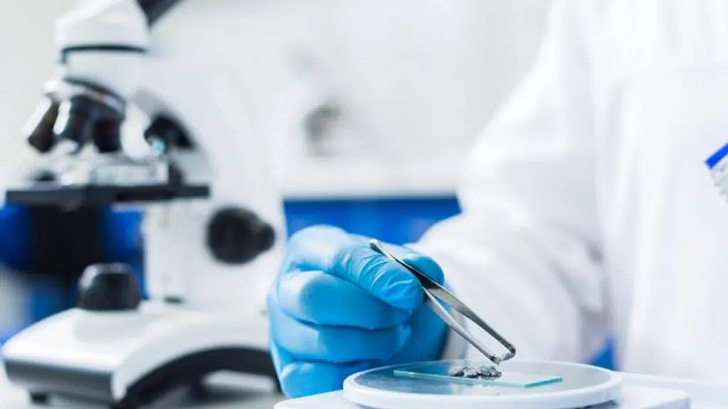 Abaris Healthcare