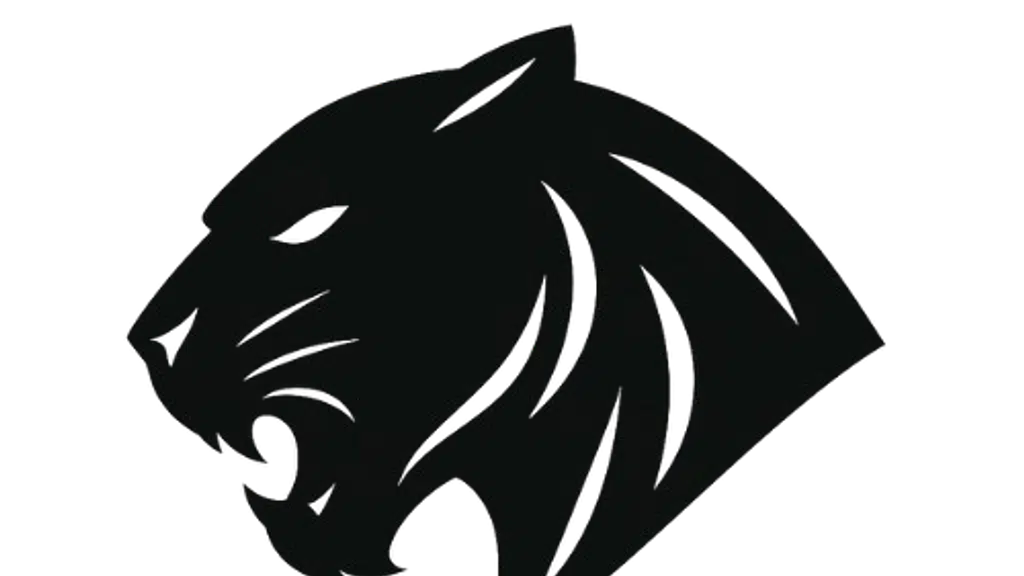 Panther Groups