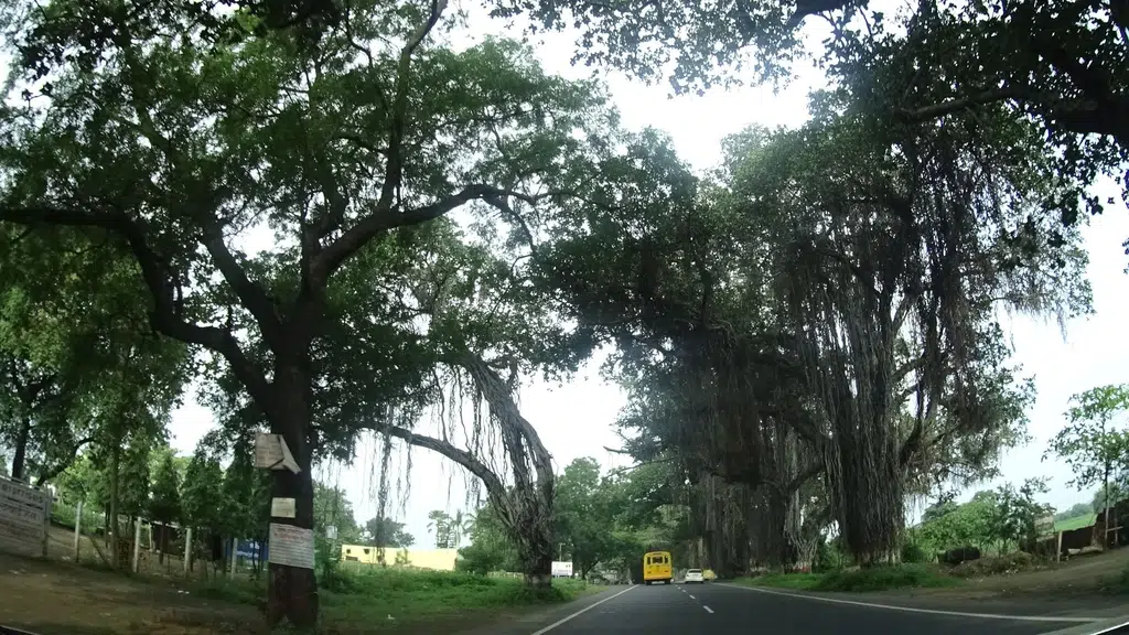 Ujjwal Hotel and Garden Restaurant