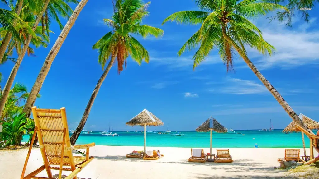 Dignity Travels Pvt. Ltd.