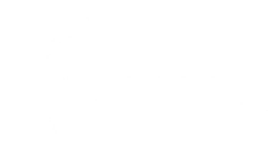 Lucky Silk Store