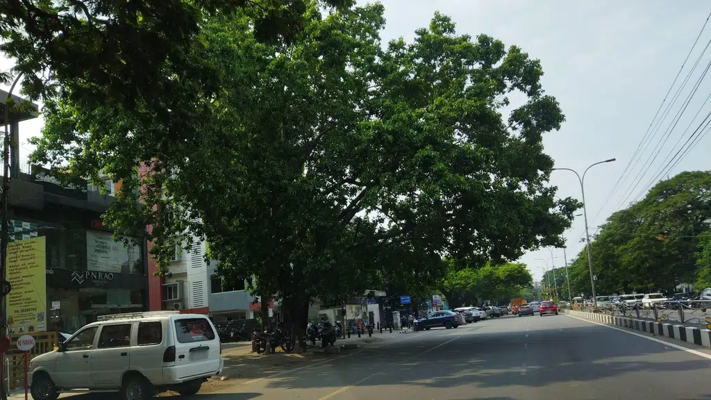 Popular Vehicles & Services Limited
