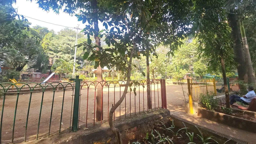 Santacruz Gymkhana