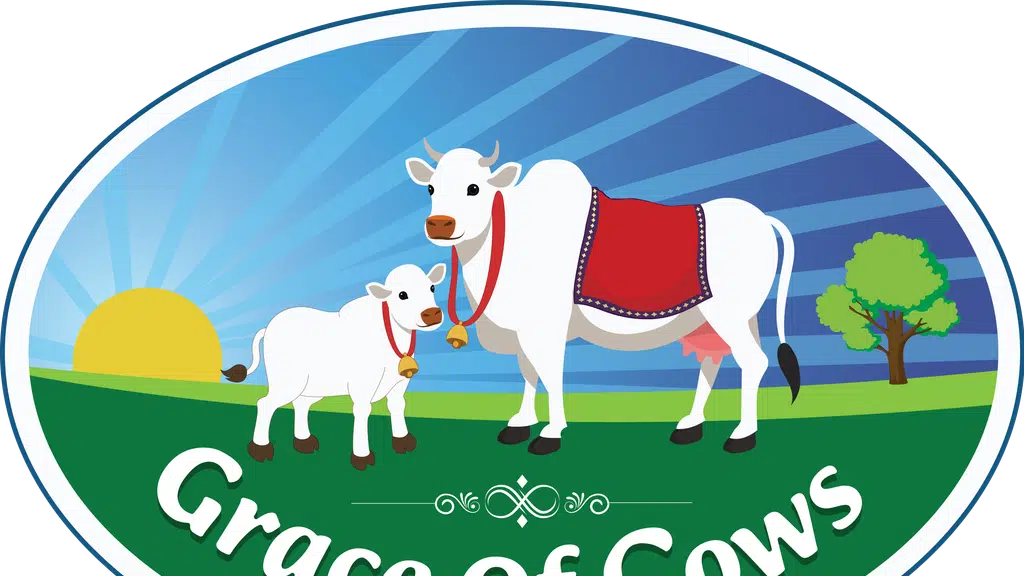 Grace of Cows - A2 Milk and A2 Ghee