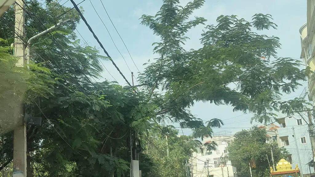 Venkateshwara Medical
