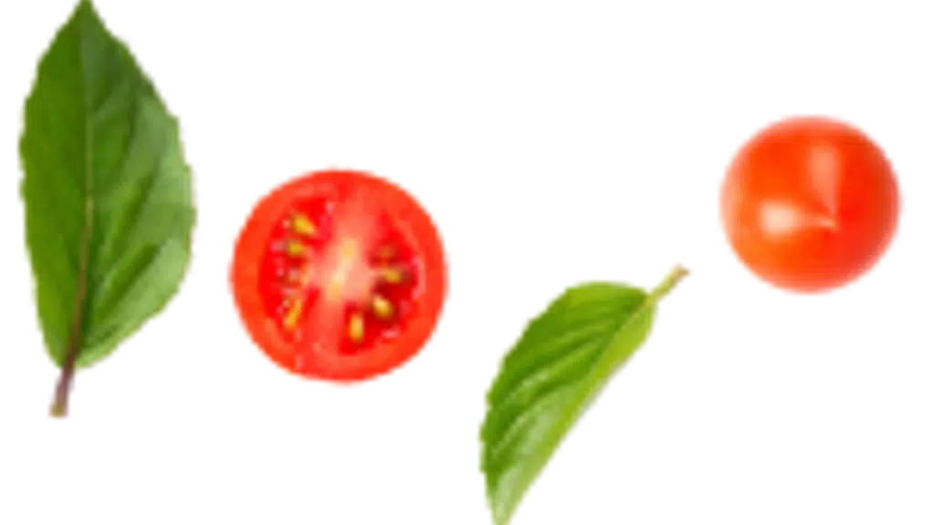 Silbatti