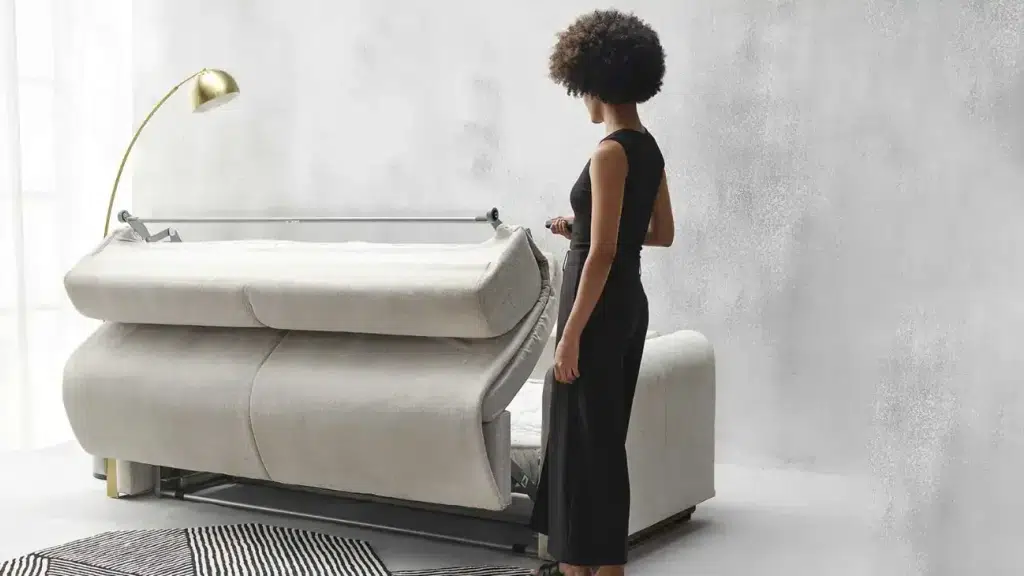 Woodage Sofa cum Bed