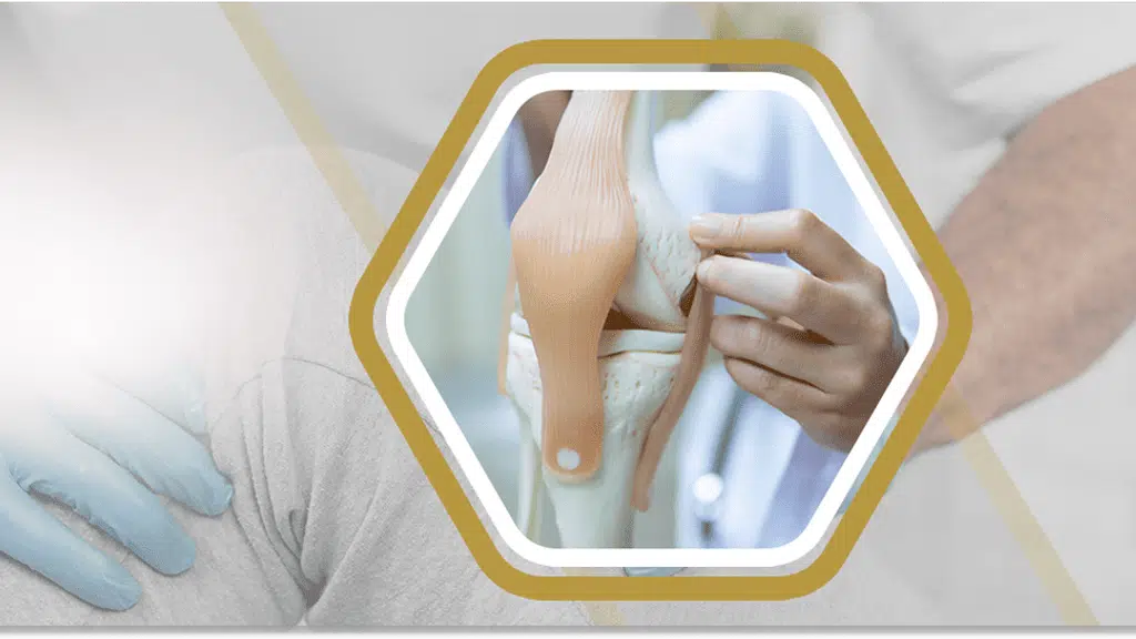 Orthopaedic Surgeon