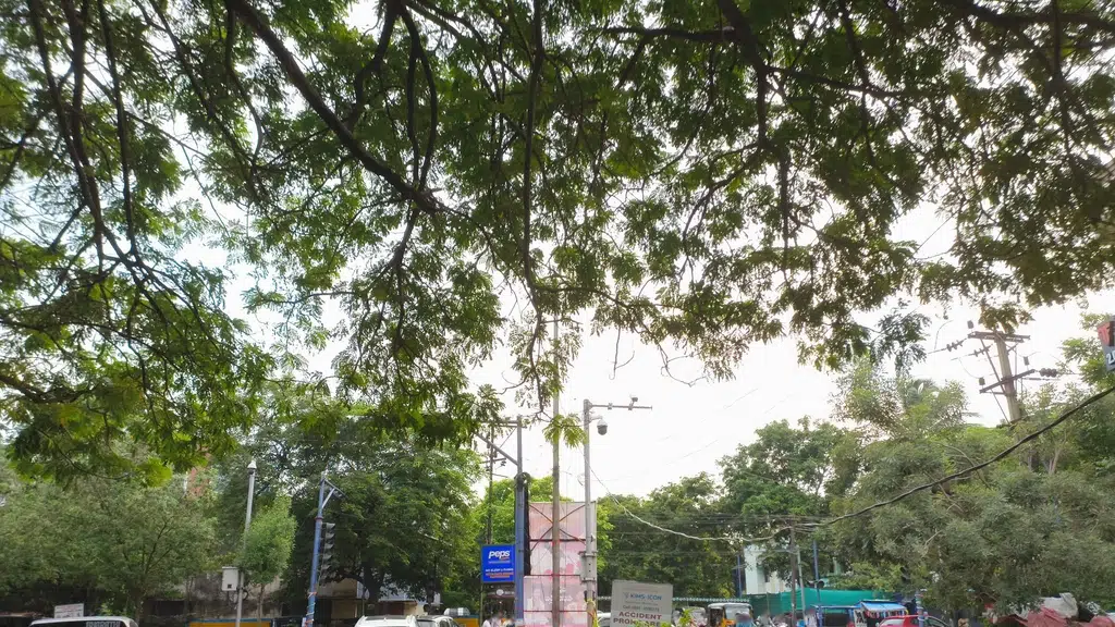 Sri Ganapathi Tyre Shoppe