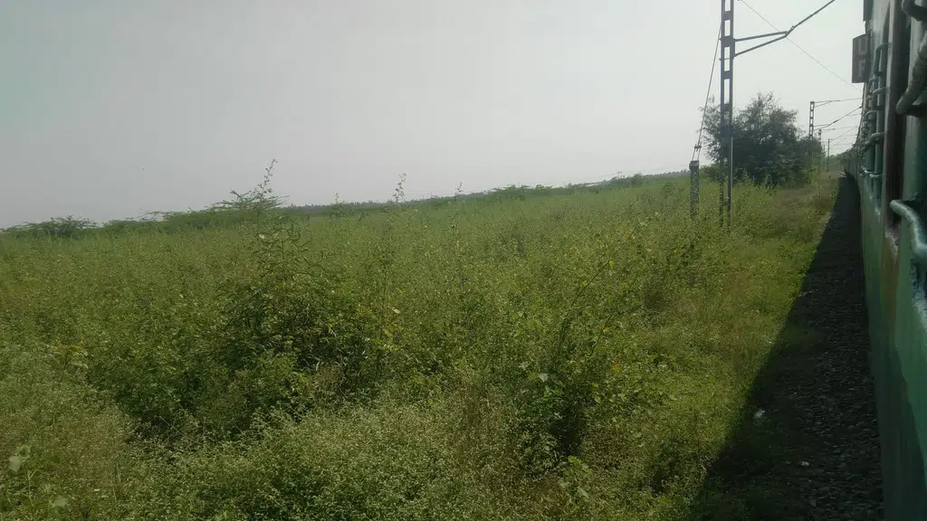 Periyanaickenpalayam railway station