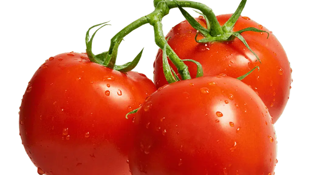 Nirala Seeds Company