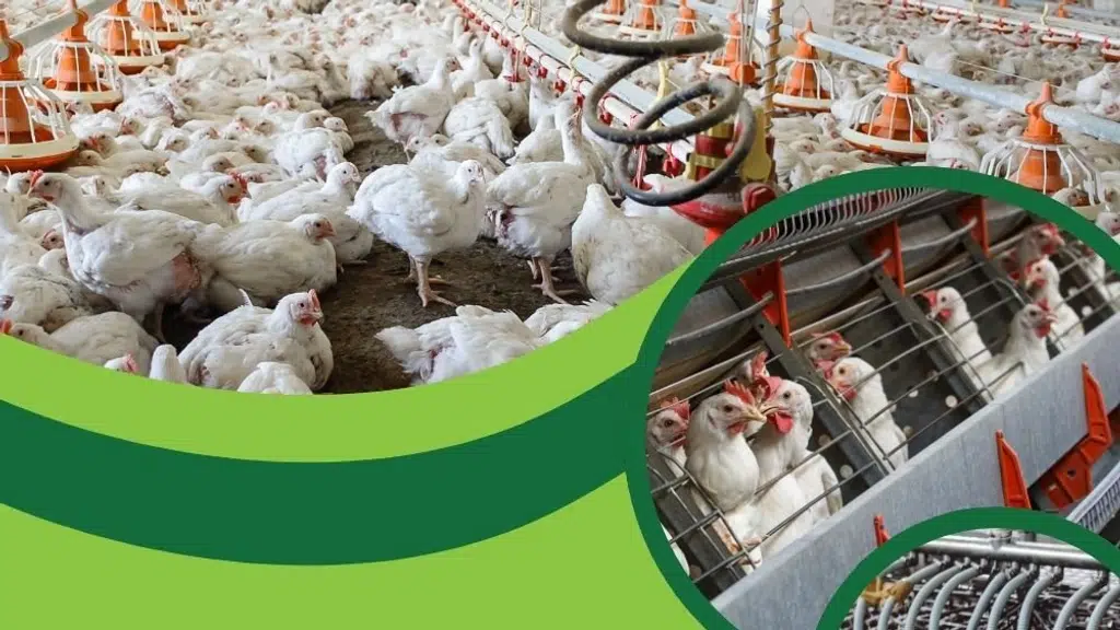 Alpha Farming Equipments