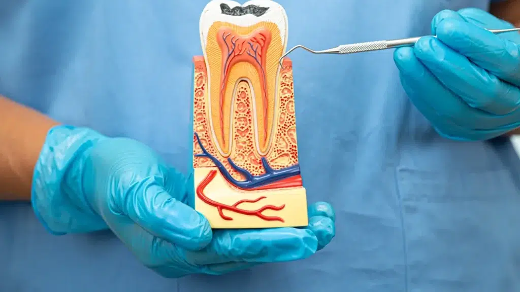 Dentistree Multispeciality Dental Clinic