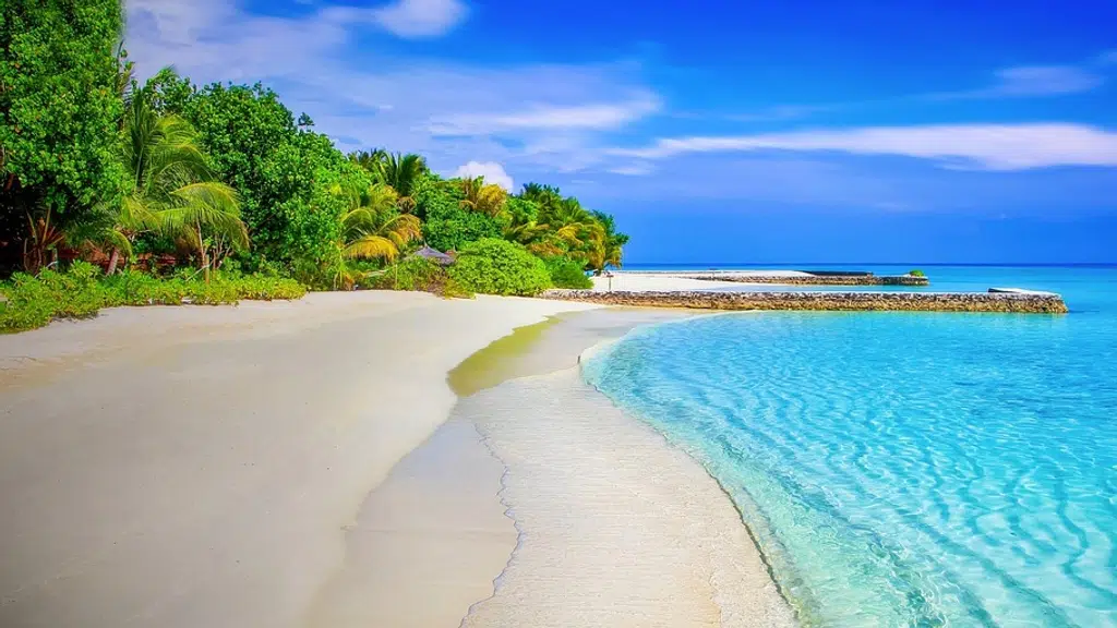 Hi-Five Travel Services