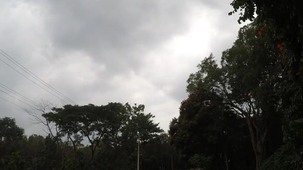 The Grand Retreat - Chikmagalur
