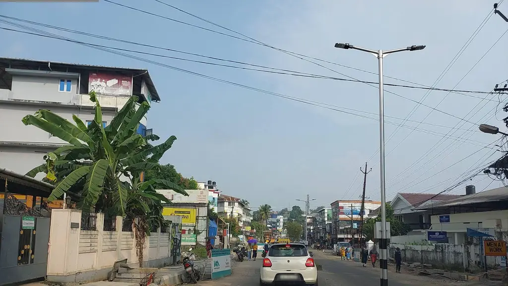 Aura Ayurveda Panchakarma Hospital