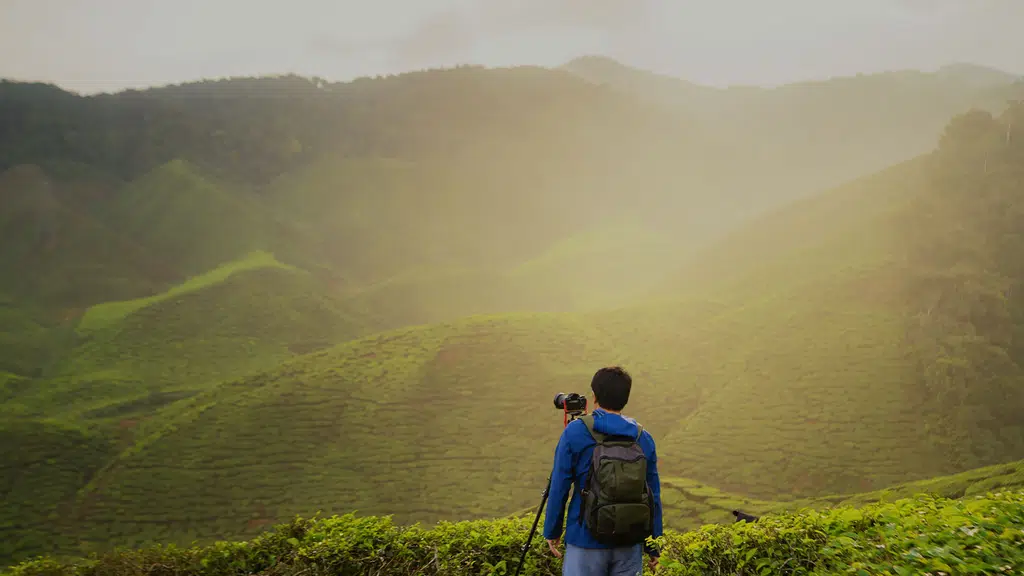 True Blue Travel