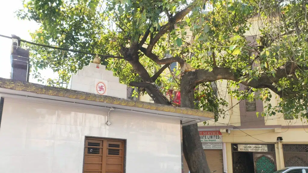 Mohini Travels