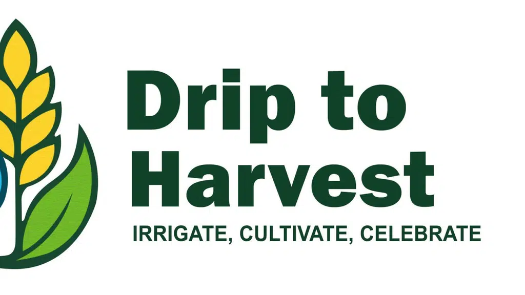 Drip To Harvest