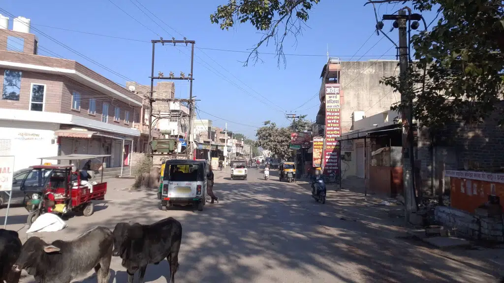Shri Hans Swaroop Sanitary