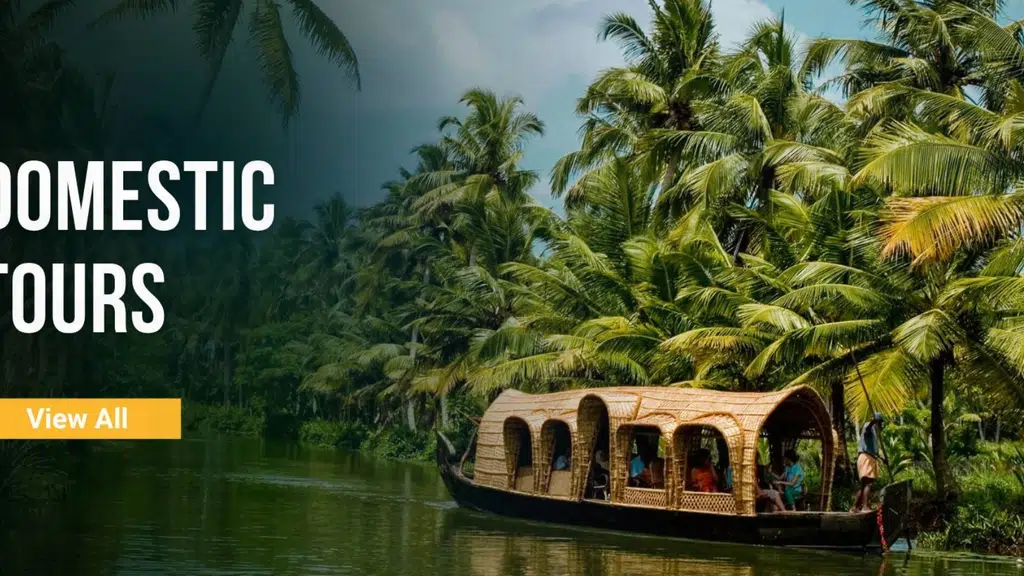 Salunkhe Tours and Travels