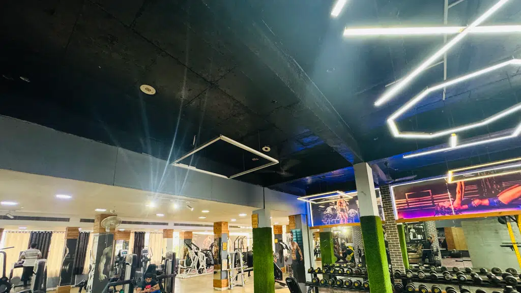 Shape In Fitness Hubb