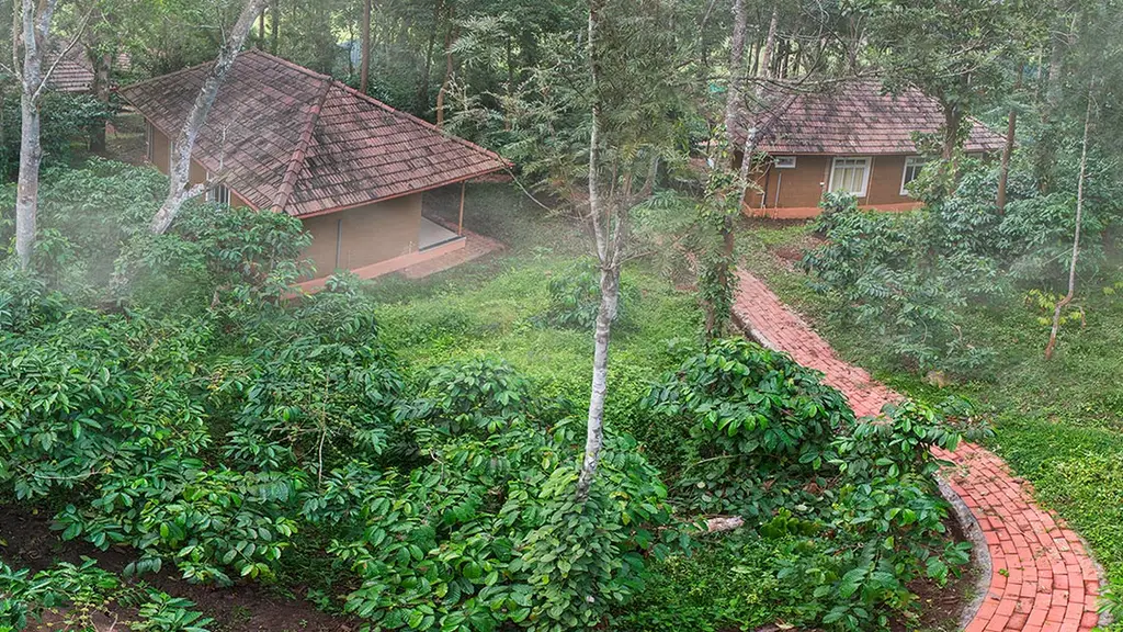 Thennal Jungle Camp