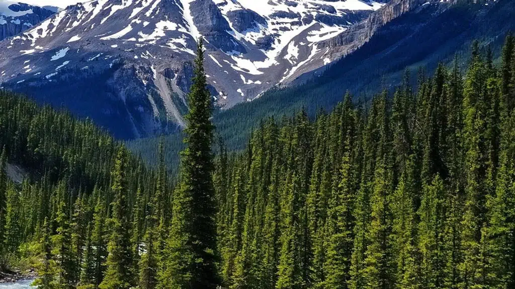 Green Pine Industries